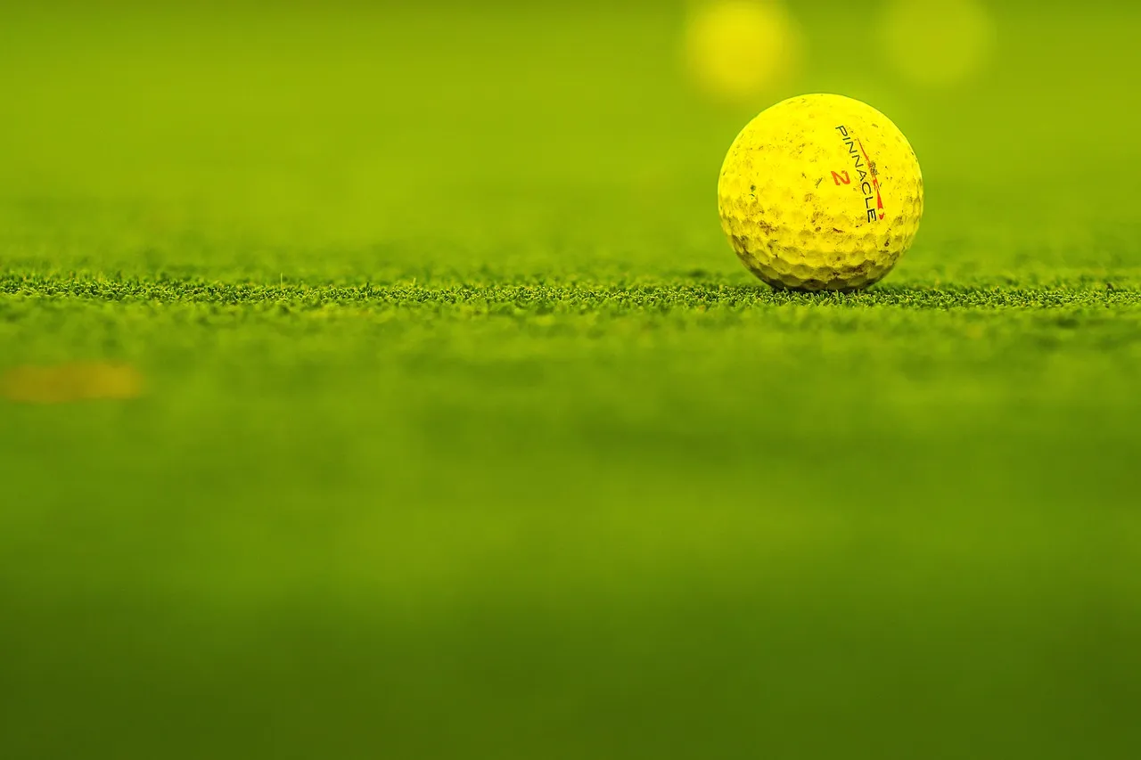 Material de golf para principiantes, palos a elegir en tu primer fitting