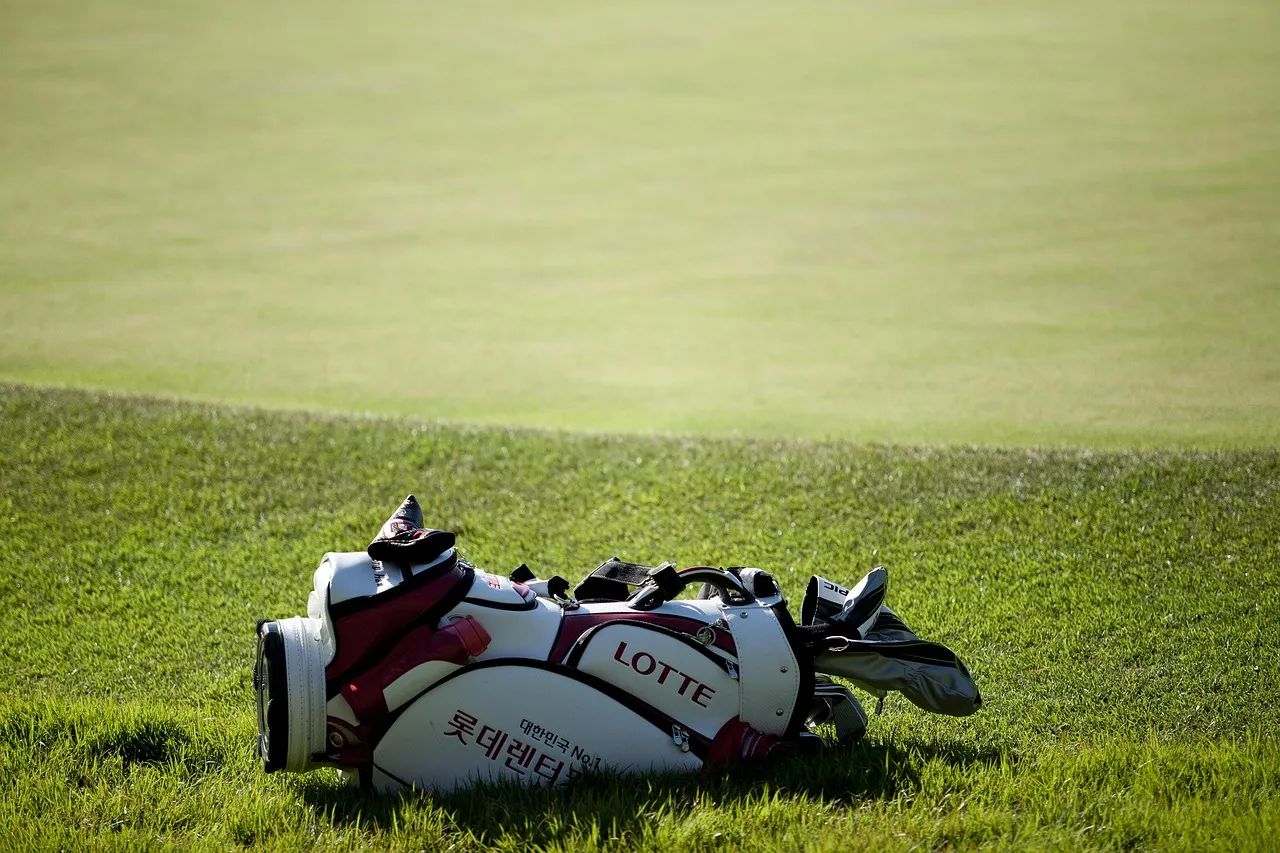 Compra de palos y accesorios de golf en Madrid