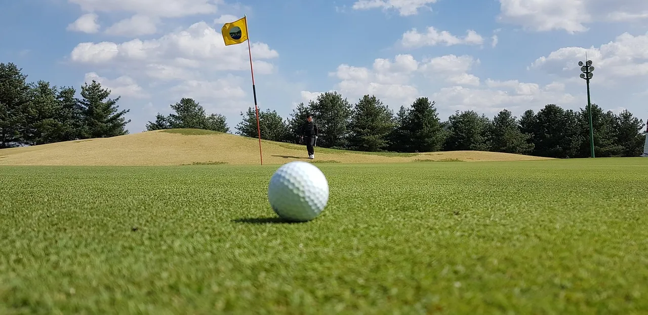 Cómo elegir la bola de golf perfecta
