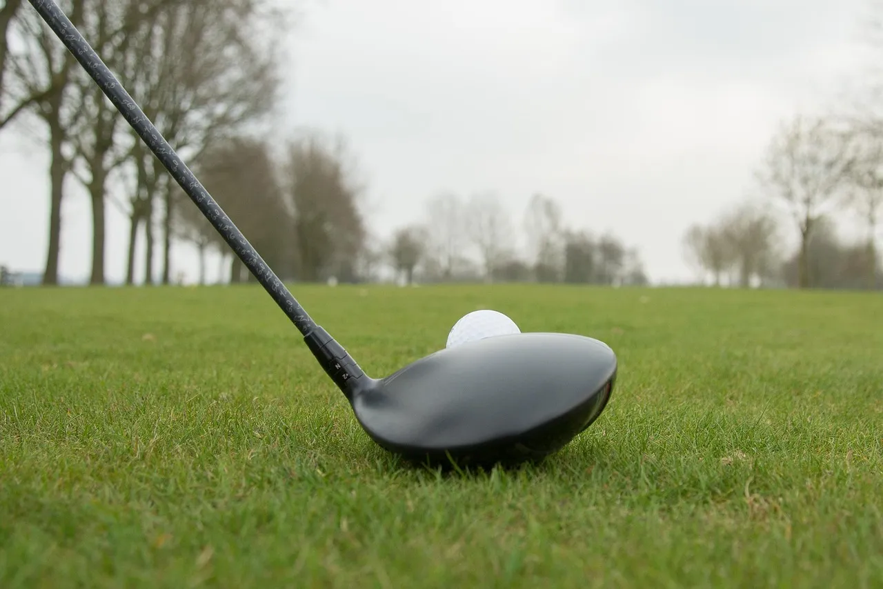 Cómo elegir la bola de golf perfecta